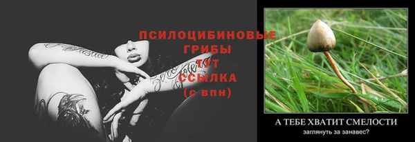 ECSTASY Балабаново