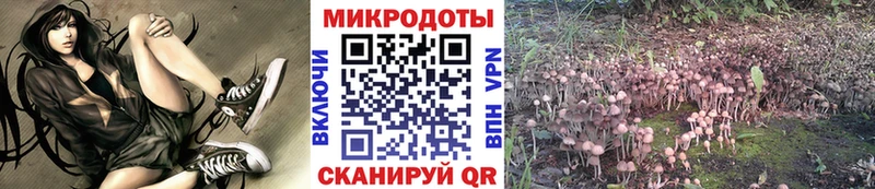 MEGA ONION  Кондрово  маркетплейс как зайти  Псилоцибиновые грибы Cubensis 